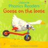 goose-on-the-loose