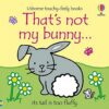thats-not-my-bunny