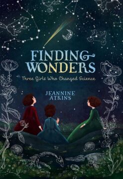 finding-wonders-2