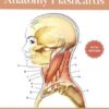 anatomy-flashcards