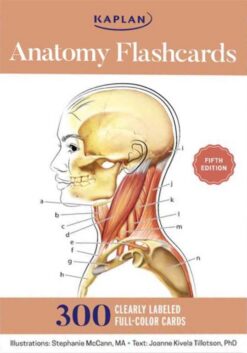 anatomy-flashcards