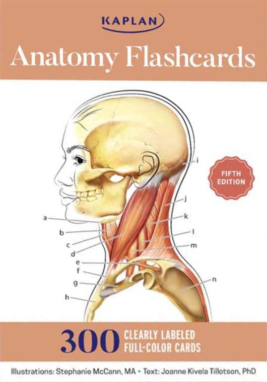 anatomy-flashcards