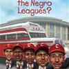 what-were-the-negro-leagues