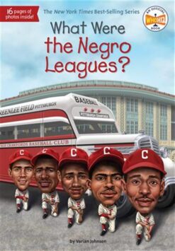 what-were-the-negro-leagues