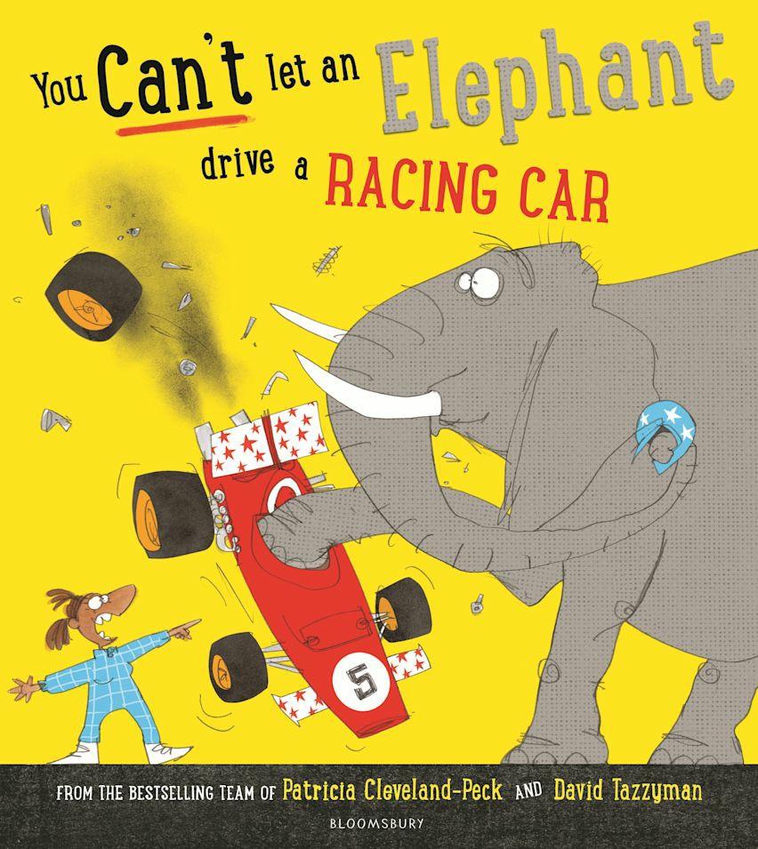 you-cant-let-an-elephant-drive-a-racing-car