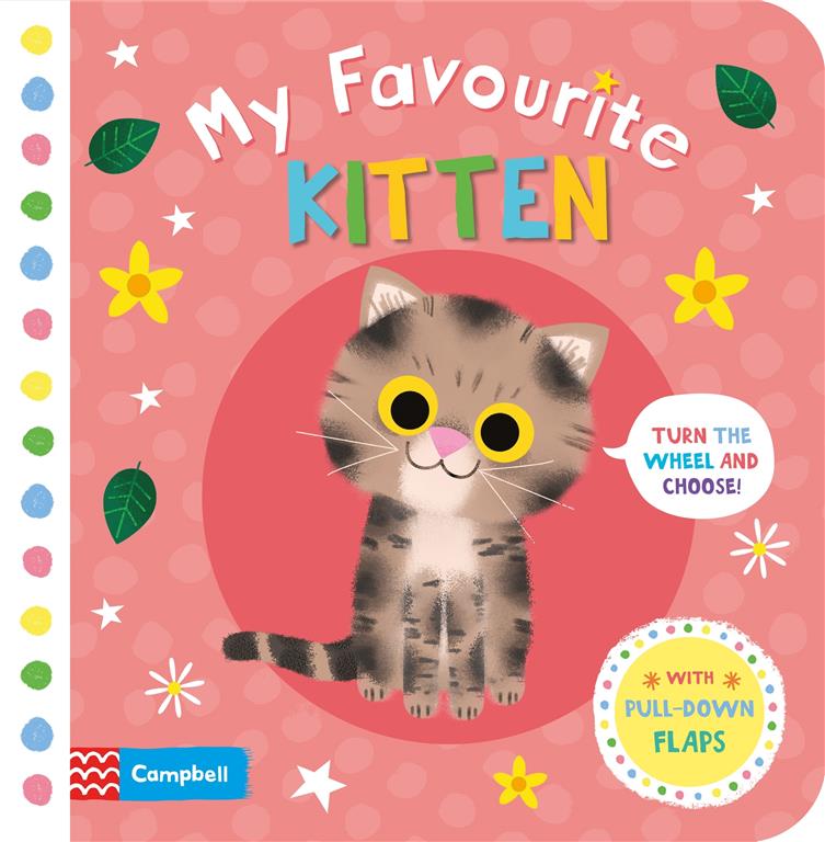 my-favourite-kitten