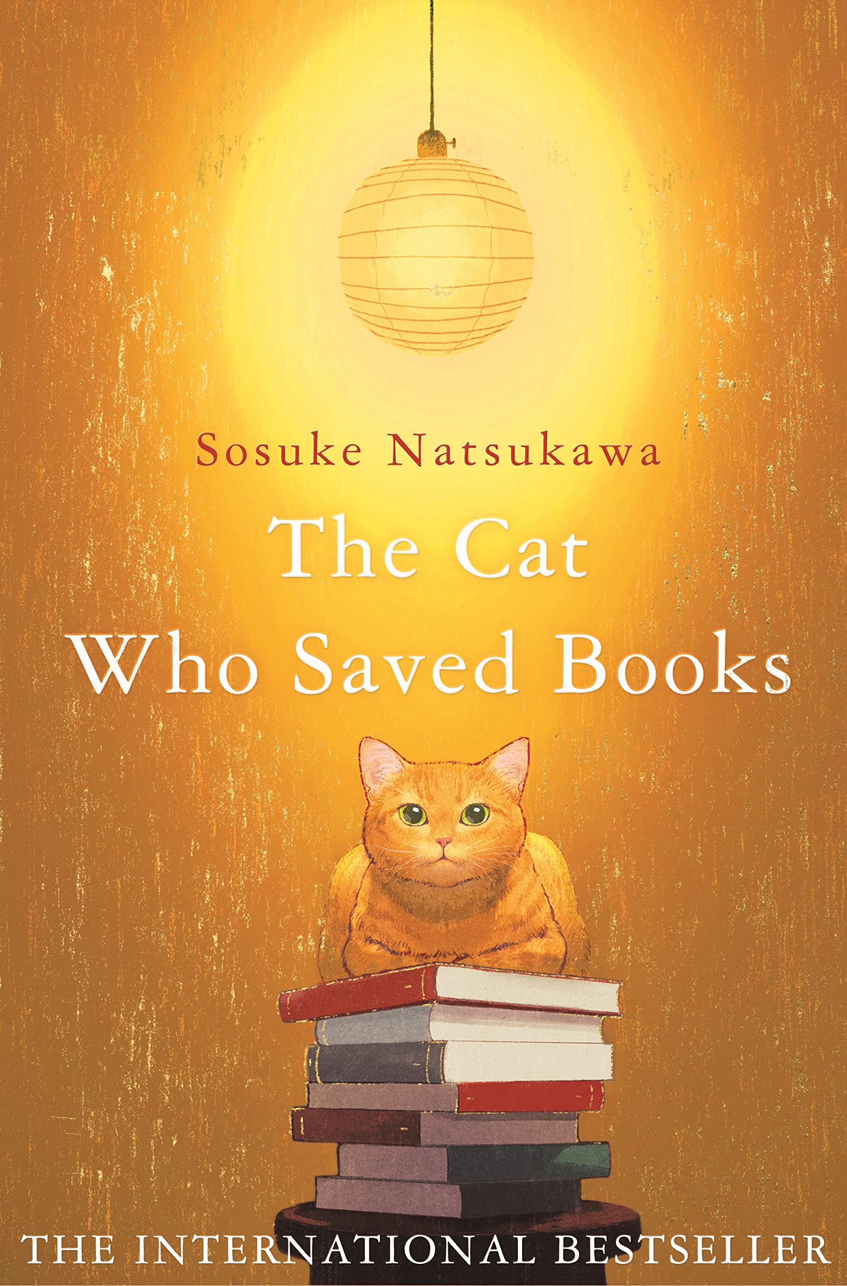 the-cat-who-saved-books