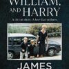 Diana, William and Harry