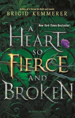 heart-so-fierce-and-broken