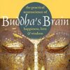 Buddha's Brain | ISBN 9781572246959 | Kalimat Store