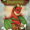field-guide-to-garden-dragons