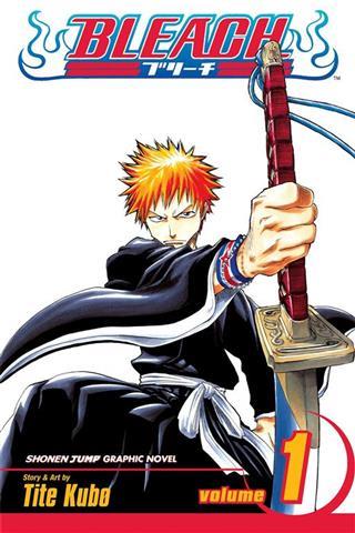 bleach-vol-1