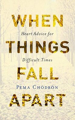 when-things-fall-apart
