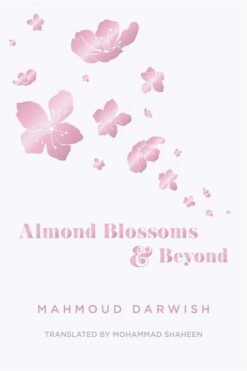 almond-blossoms-and-beyond
