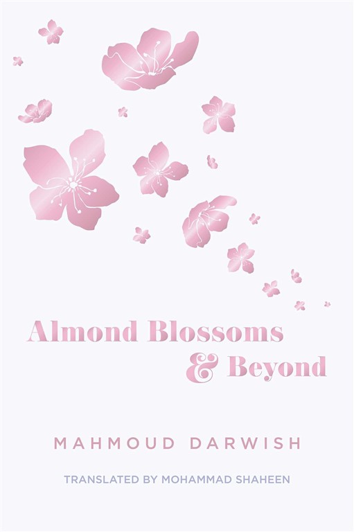 almond-blossoms-and-beyond