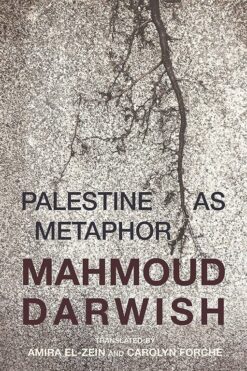 palestine-as-metaphor