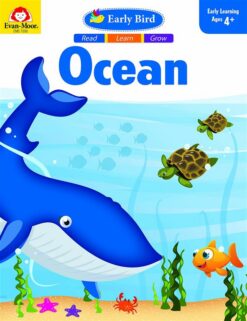 ocean
