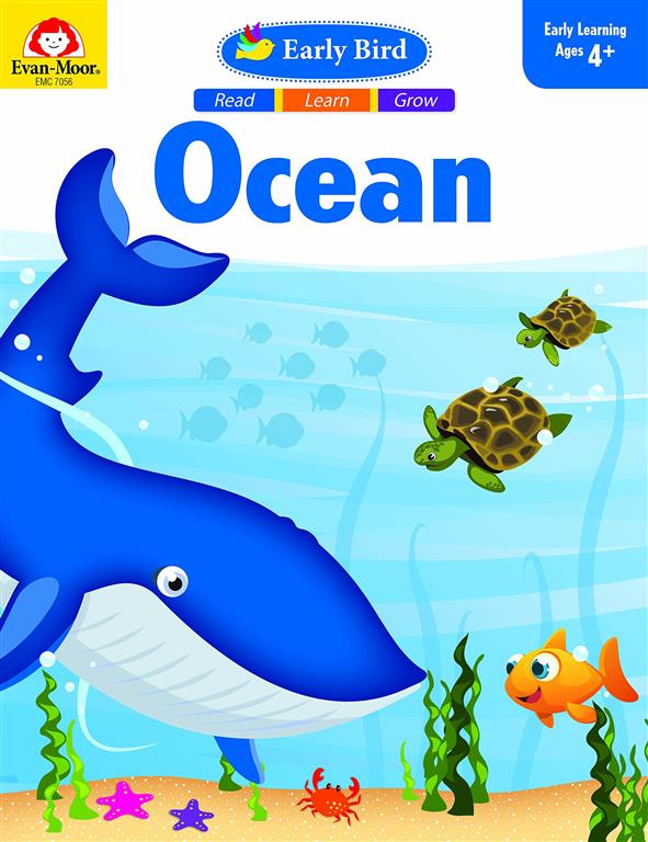 ocean