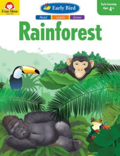 rainforest