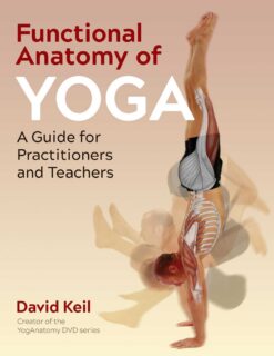 functional-anatomy-of-yoga