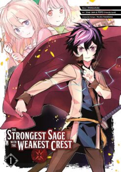 the-strongest-sage-with-the-we