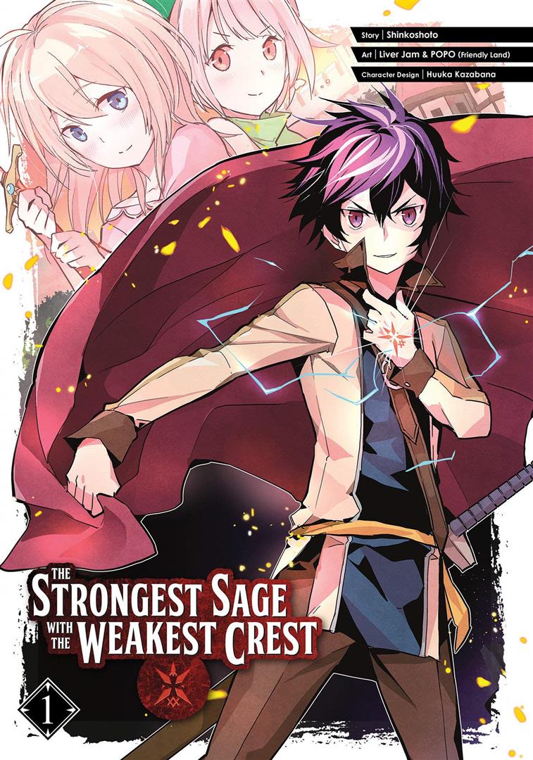 the-strongest-sage-with-the-we