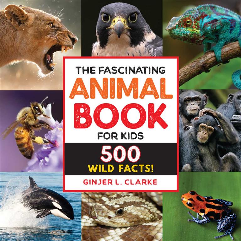 The Fascinating Animal Book for Kids: 500 Wild Facts! | ISBN 9781646111497 | Kalimat Store