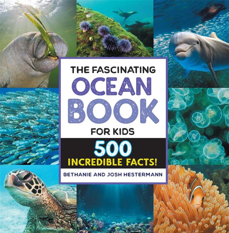 the-fascinating-ocean-book-for-kids-500-incredible-facts
