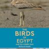 the-birds-of-egypt-and-the-mid