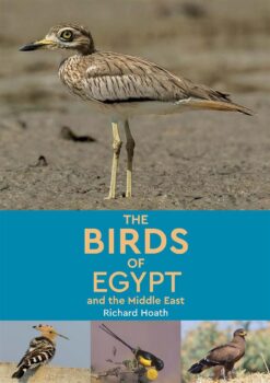the-birds-of-egypt-and-the-mid