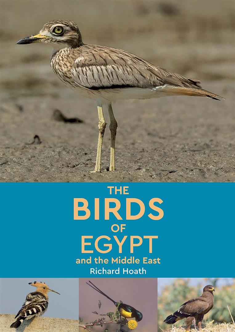 the-birds-of-egypt-and-the-mid