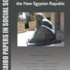 political-economy-of-the-new-egyptian-republic