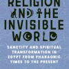 religion-and-the-invisible-world-sanctity-and-spiritual-transformation-in-egypt-from-pharaonic-times-to-the-present