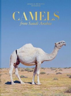 camels-from-saudi-arabia