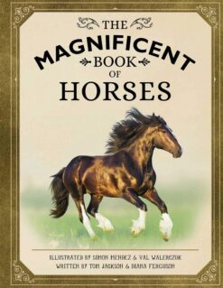 the-magnificent-book-of-horses