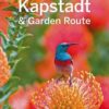 cape-town-and-the-garden-route