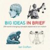 big-ideas-in-brief
