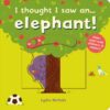 i-thought-i-saw-an-elephant