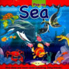 Large Pop-Up Sea | ISBN 9781783733545 | Kalimat Store