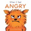 when-i-feel-angry-first-feelings-series