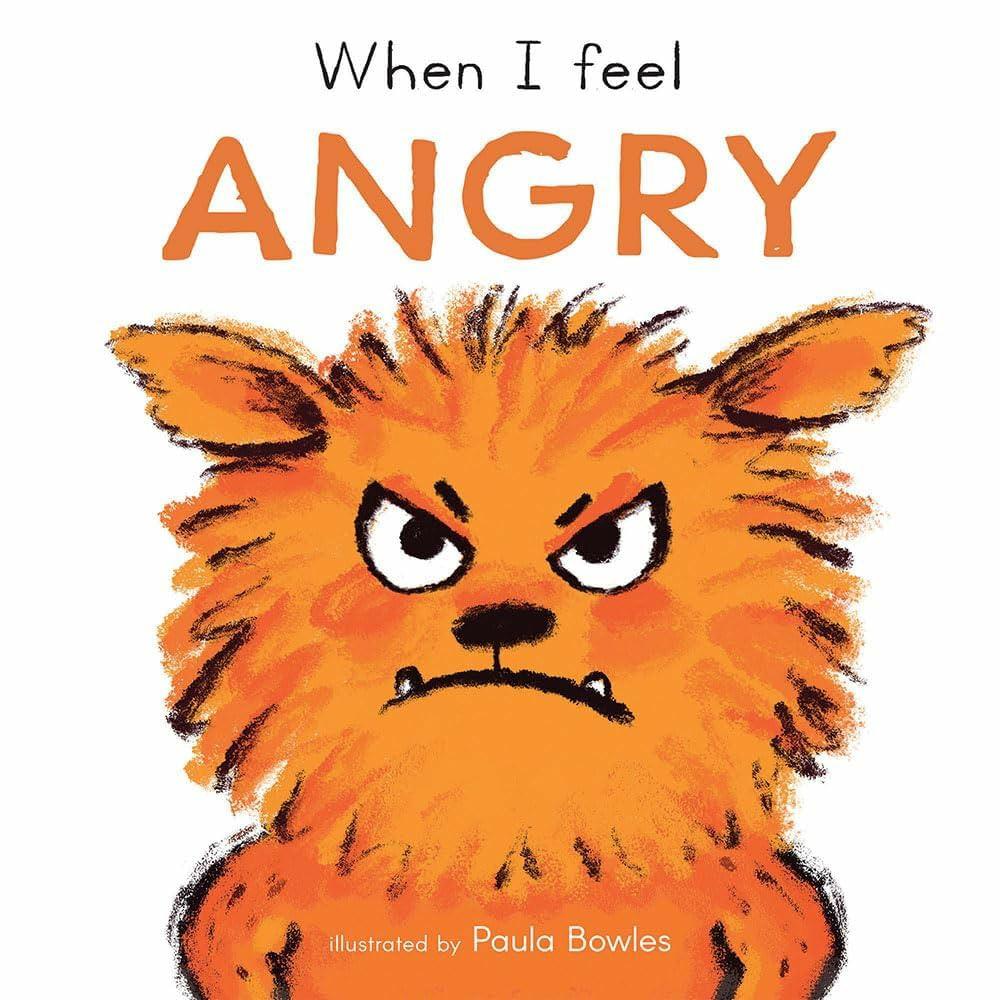 when-i-feel-angry-first-feelings-series