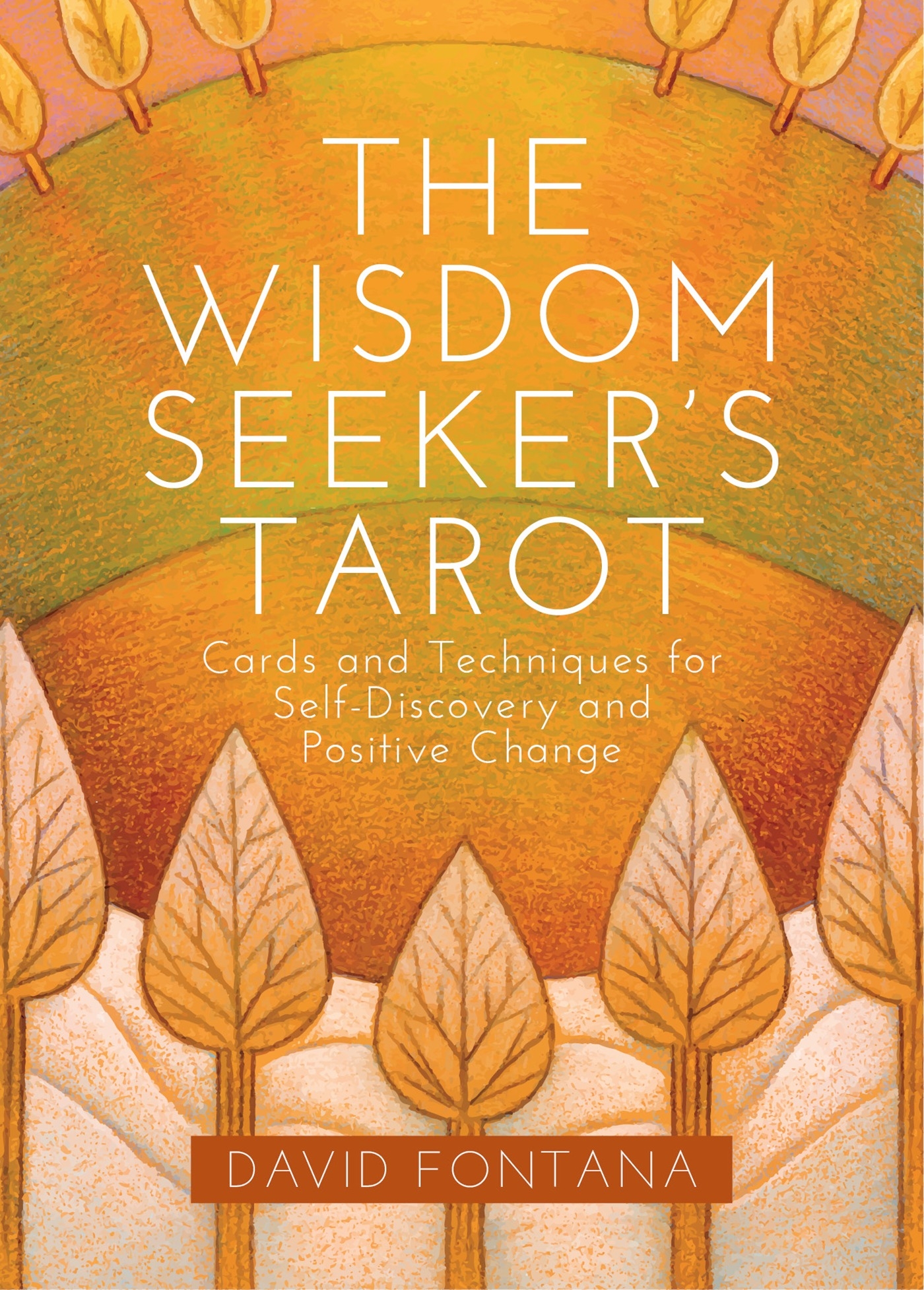the-wisdom-seekers-tarot-cards-and-techniques-for-self-dis