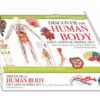 the-human-body