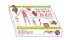 the-human-body
