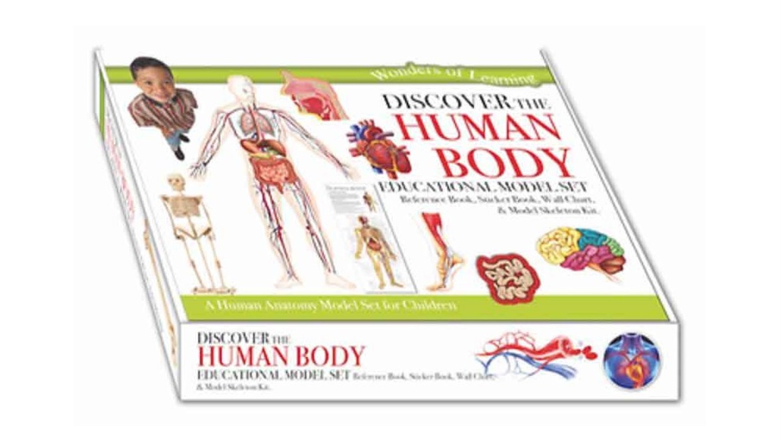 the-human-body