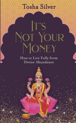 its-not-your-money