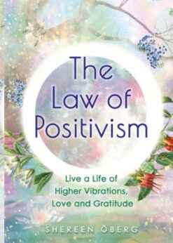 the-law-of-positivism