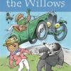 wind-in-the-willows-3