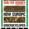 how-europe-underdeveloped-africa