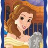 disney-princess-beauty-and-the